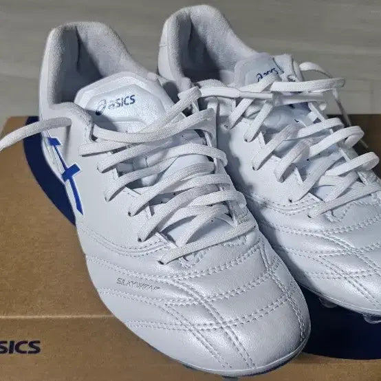 [BUNJANG] Asics DS Light AG Silky Lab 240mm Soccer Cleats / 아식스 ds light ag 실키랩 240mm