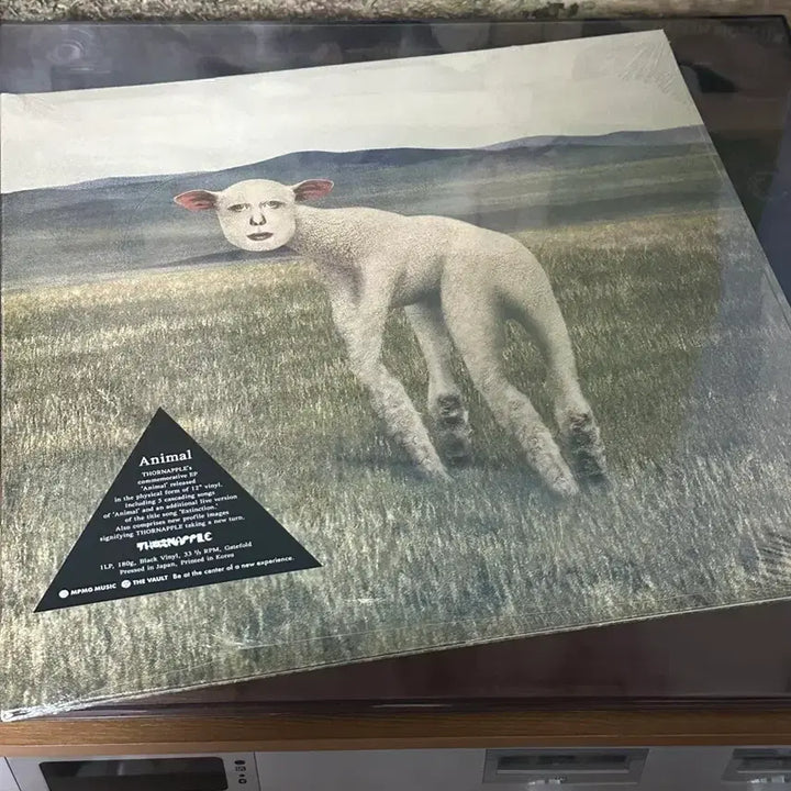 [BUNJANG] Thornapple Animal LP Limited Edition (Sealed) / 쏜애플 Animal LP 미개봉