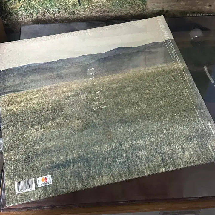 [BUNJANG] Thornapple Animal LP Limited Edition (Sealed) / 쏜애플 Animal LP 미개봉