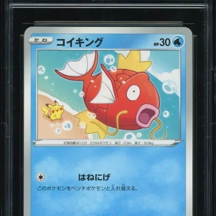 [SOLD OUT] 포켓몬카드 카나헤이 잉어킹 일판 CCG 9등급
