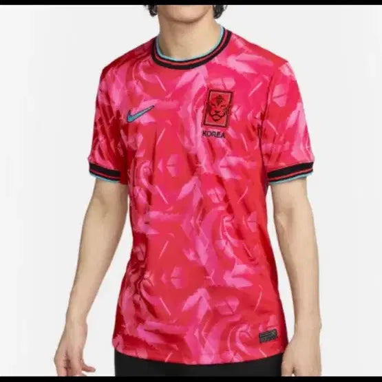 [BUNJANG] Nike Korea National Football Team Home Jersey / (매장 정품 새제품) 2024 대한민국 축구 국가대표 홈( L / XL