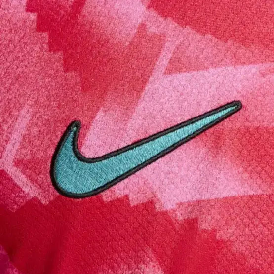 [BUNJANG] Nike Korea National Football Team Home Jersey / (매장 정품 새제품) 2024 대한민국 축구 국가대표 홈( L / XL
