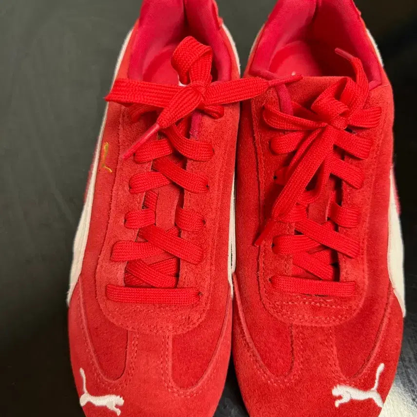 [SOLD OUT] 푸마 스피드캣 og 레드화이트(245사이즈)