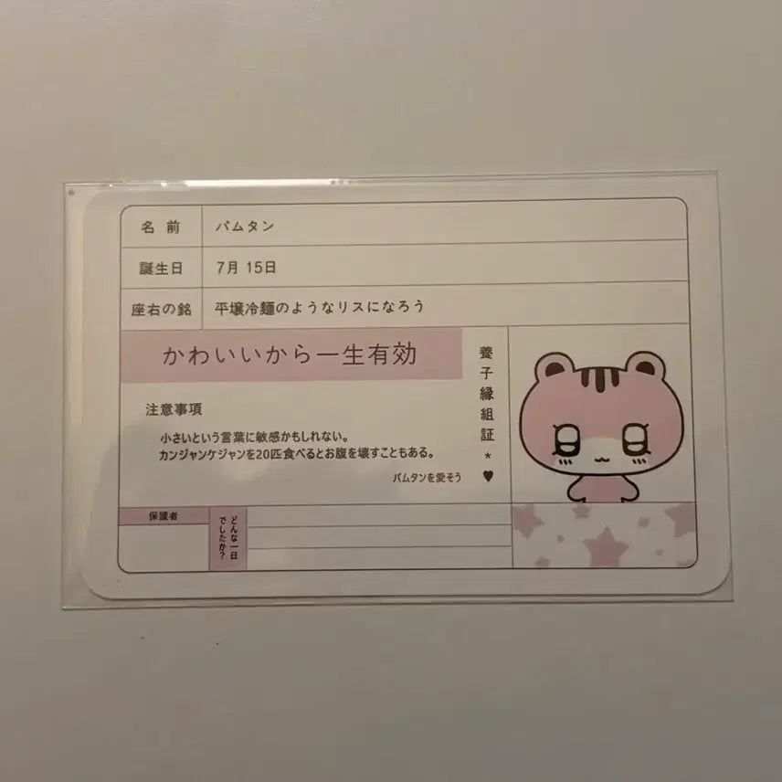 [BUNJANG] PLAVE Bamby Unsealed Adoption Certificate / 플레이브 플부땅 바무땅 미개봉+입양증