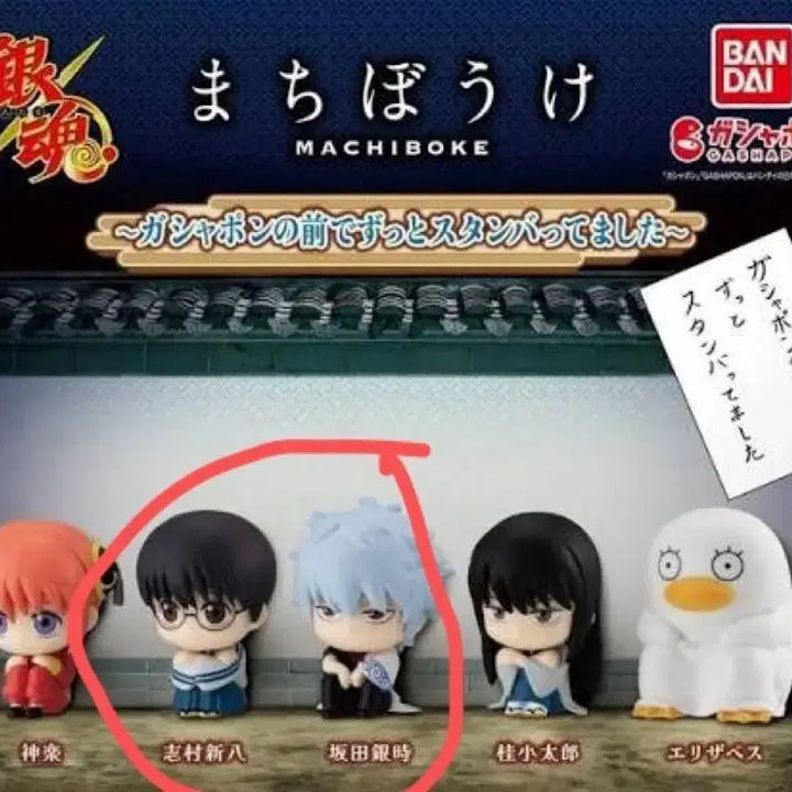 [BUNJANG] Gintama Machiboke 1st Series Gintoki &amp; Shinpachi Figure Set / 은혼 마치보케 언제오려나 1탄 긴토키 신파치 피규어 가챠