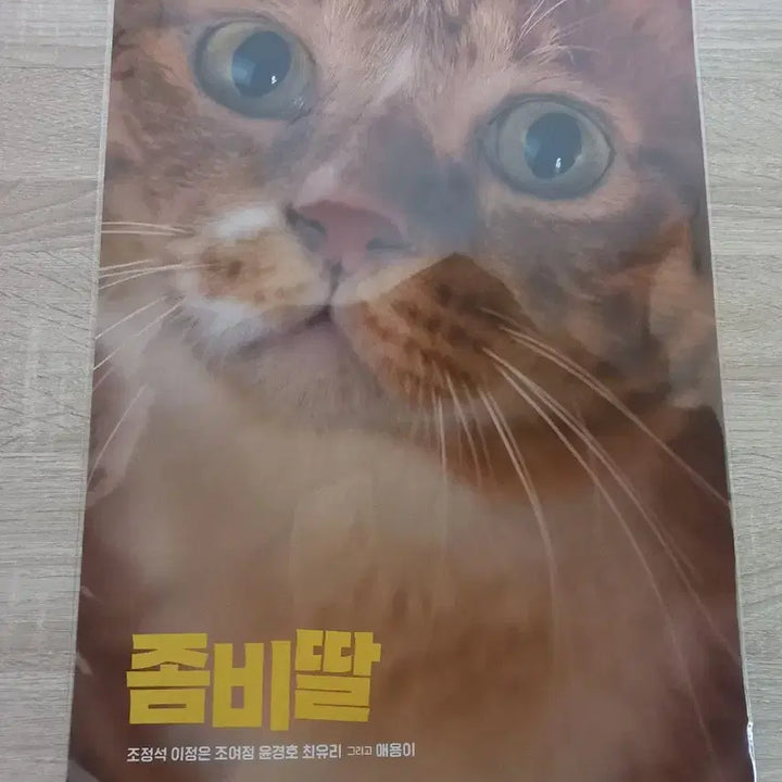 [SOLD OUT] 좀비딸 애용이 포스터