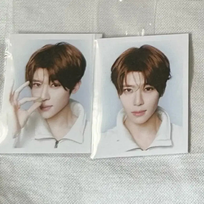 [BUNJANG] NCT WISH Sion Odd to Love Popup ID Photo / (시온) 엔시티위시 오드투러브 팝업 증명사진 증사 아이디포토