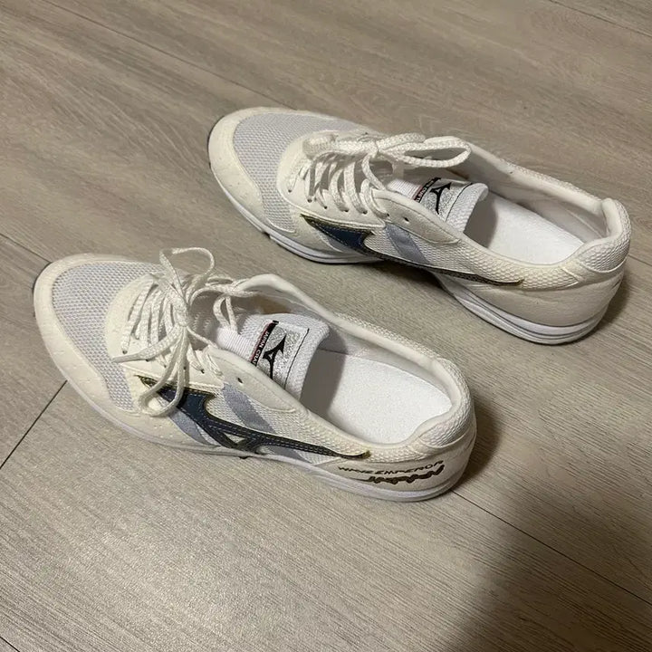 [BUNJANG] Mizuno Emperor Japan Running Shoes / 미즈노 엠퍼러 재팬