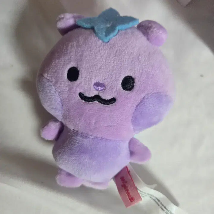 [BUNJANG] Mightyz Boddung Plush Doll / 마이티즈 미니플러시 보뚱이 양도합니다