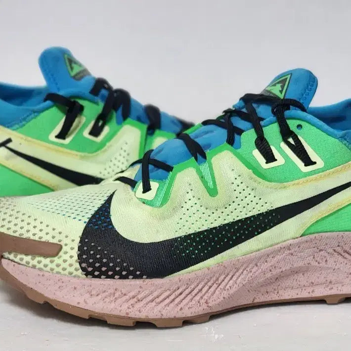 [BUNJANG] Nike Pegasus Trail 2 Running Shoes Size 290mm / 나이키 페가수스 트레일 2 러닝화 290 상태좋음