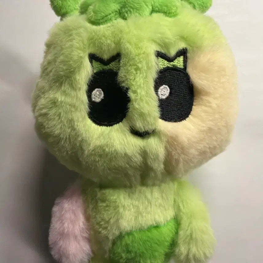 [SOLD OUT] 쁘넥도 312