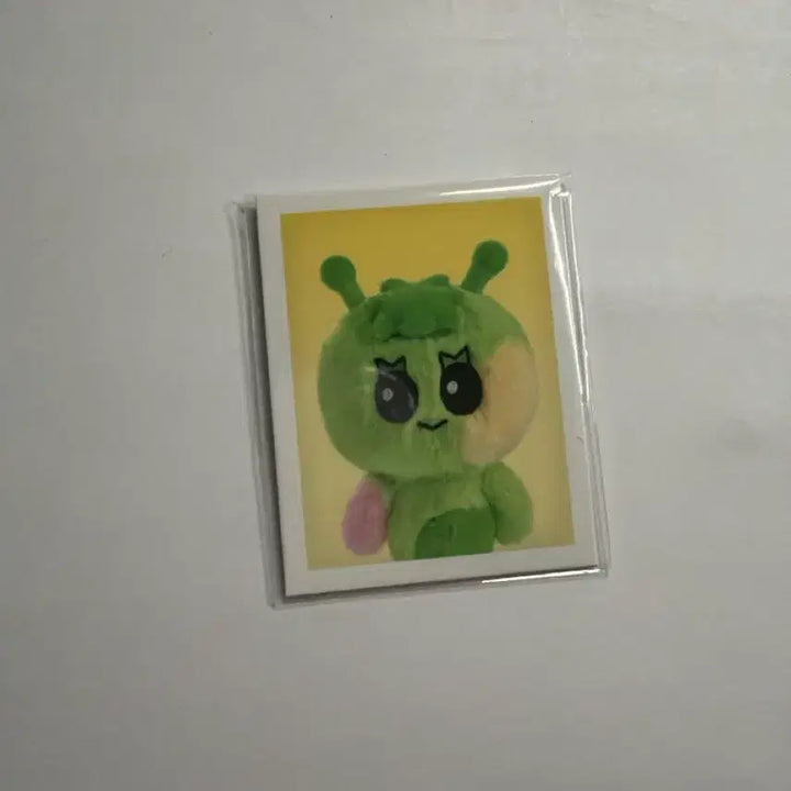 [SOLD OUT] 쁘넥도 312