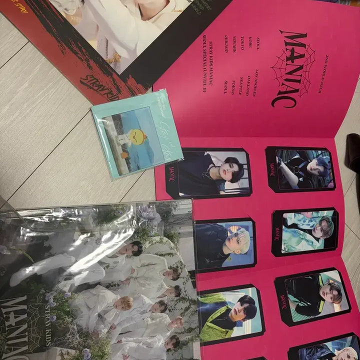 [BUNJANG] Stray Kids SKZOO Bundle Set / 스키즈 스키주 제품 및 앨범 일괄 처분