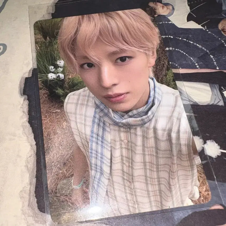 [BUNJANG] NCT WISH Yushi Odd to Love Random Photocard / 엔시티위시 유우시 빅스미니 오드투러브 랜덤포카