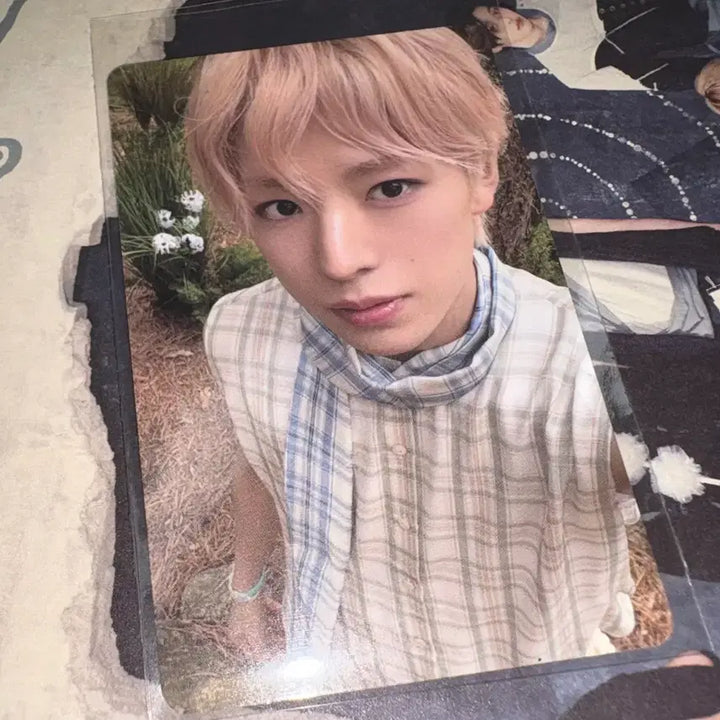 [BUNJANG] NCT WISH Yushi Odd to Love Random Photocard / 엔시티위시 유우시 빅스미니 오드투러브 랜덤포카