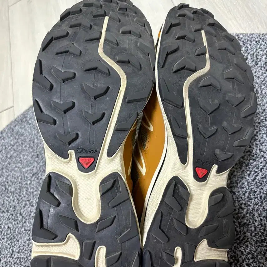 [SOLD OUT] 살로몬 xt6