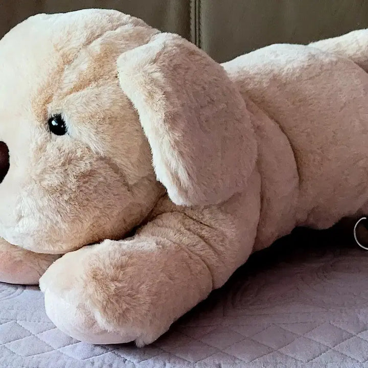 [BUNJANG] 뭉뭉이 라잉 백팩가방40cm+큐티퍼피 푸들 20cm(새상품) / 뭉뭉이 라잉 백팩가방40cm+큐티퍼피 푸들 20cm(새상품)