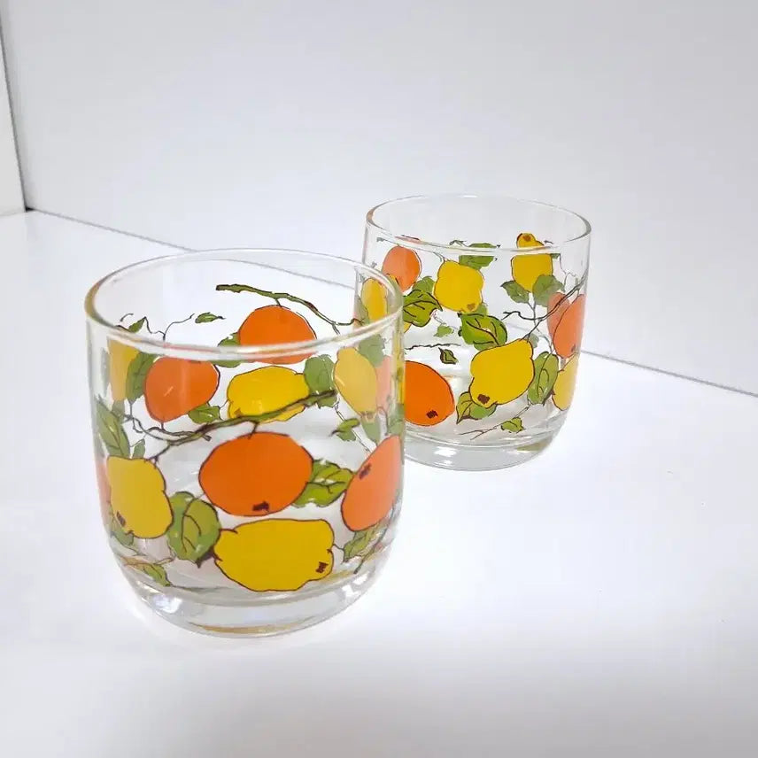 [BUNJANG] Vintage Fruit Illustration Glass Cup Set (2 pcs) / 빈티지 과일 그림 유리컵 2p