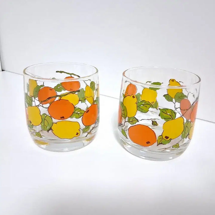 [BUNJANG] Vintage Fruit Illustration Glass Cup Set (2 pcs) / 빈티지 과일 그림 유리컵 2p