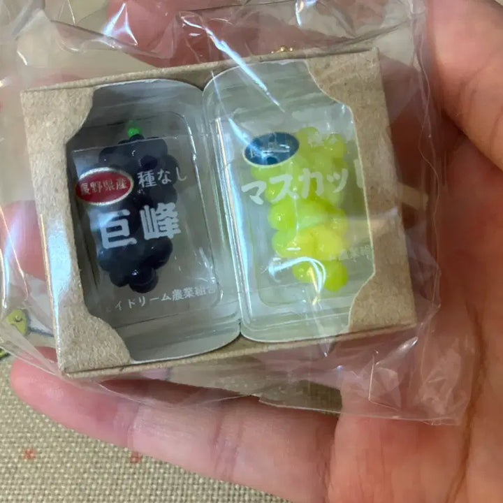 [BUNJANG] Miniature Fruit Box Gacha / 미니어쳐 과일 박스 말랑 가챠