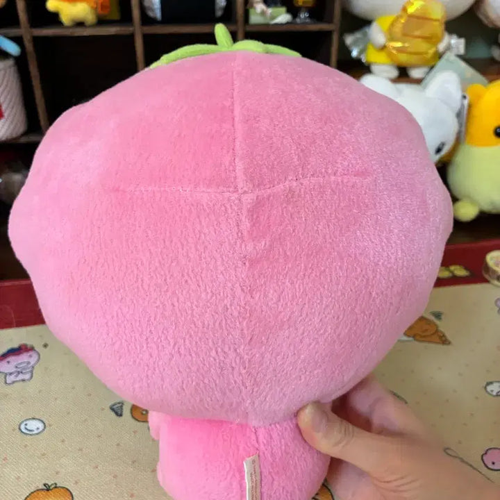 [BUNJANG] Mikangbowya Strawberry Medium Plush Doll / 미캉보우야 딸기 중형 인형