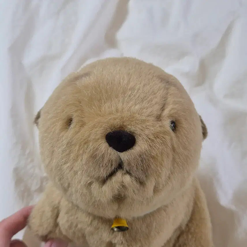 [BUNJANG] Korowon Rolling Picture Book Japanese Vintage Dog Plush / 코로완 시골강아지 고전 인형