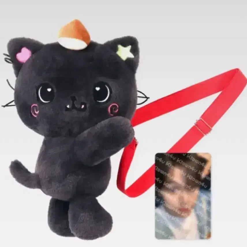 [SOLD OUT] NCT WISH 리쿠 가방 인형 위시돌 응원봉가방