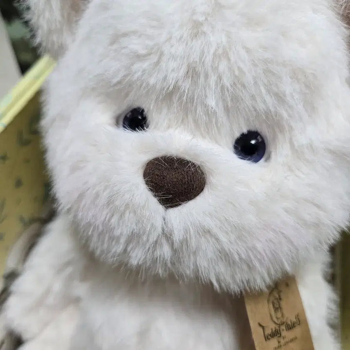 [SOLD OUT] 새상품) 테디테일즈 레나베어 M 장모