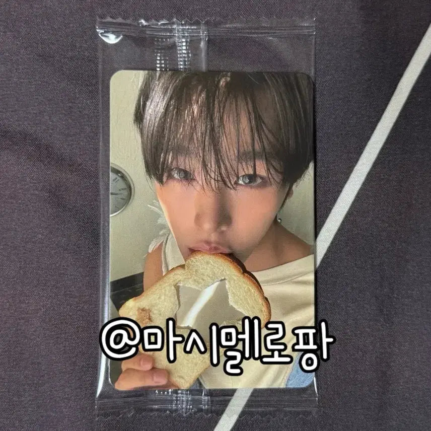 [BUNJANG] 엔시티위시 오드투러브 케타포 특전 리쿠 포카 포토카드 nct wish / 엔시티위시 오드투러브 케타포 특전 리쿠 포카 포토카드 nct wish