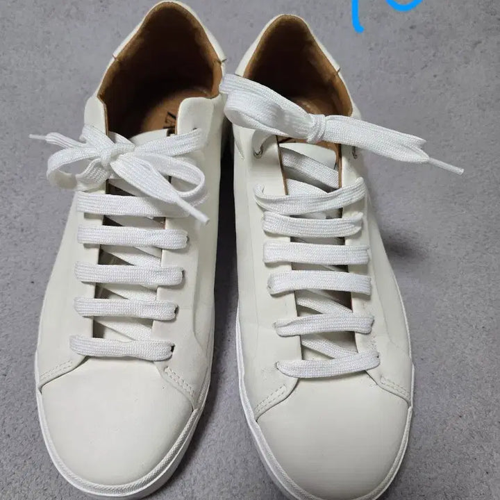 [SOLD OUT] 자라화이트 스니커즈 270