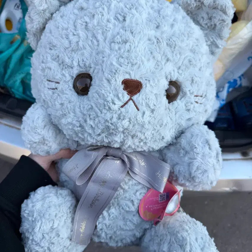[BUNJANG] Teddy Bear Plush Doll / 고양이 인형