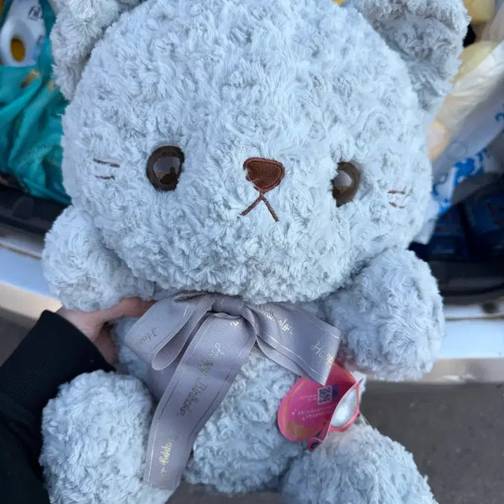 [BUNJANG] Teddy Bear Plush Doll / 고양이 인형