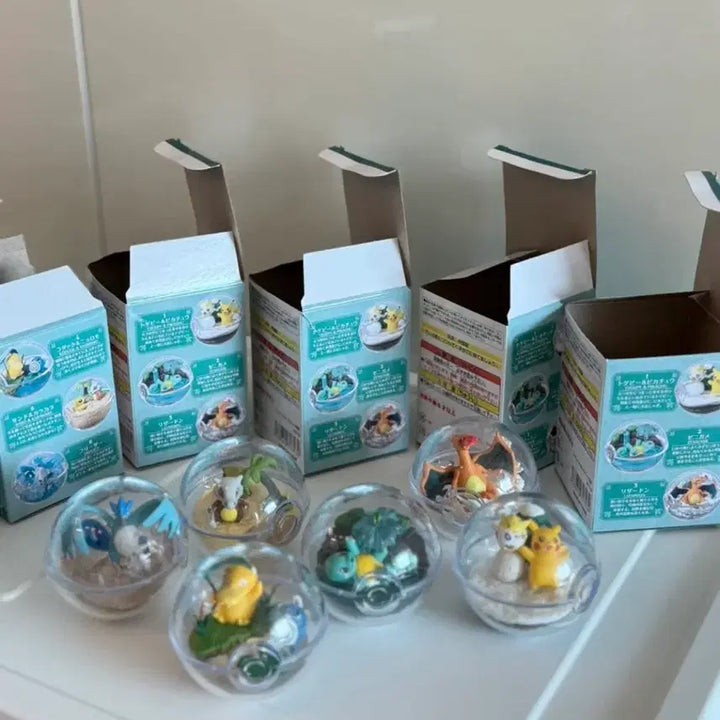 [SOLD OUT] 포켓몬 테라리움 피규어 6종세트