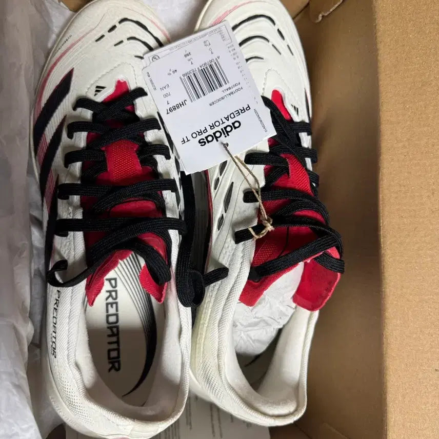 [BUNJANG] Adidas Predator TF Soccer Shoes / [255]아디다스 프레데터 tf