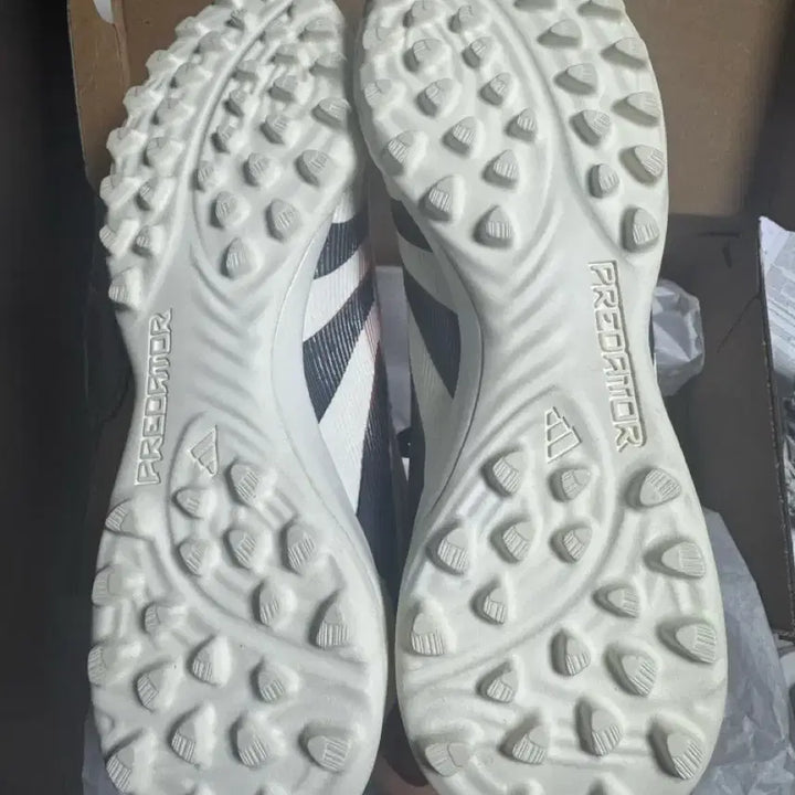 [BUNJANG] Adidas Predator TF Soccer Shoes / [255]아디다스 프레데터 tf