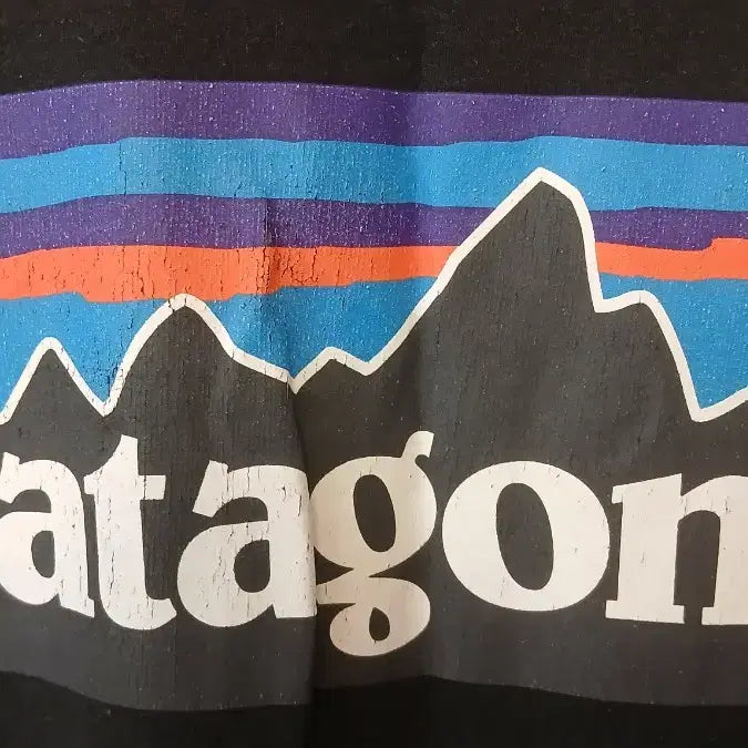 [BUNJANG] Patagonia Pocket T-shirt Black S Size / 파타고니아 포켓 반팔 티셔츠 블랙 s사이즈 사용감