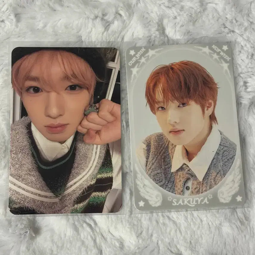 [BUNJANG] NCT WISH Encore MD Sakuya Photocard / 엔시티위시 앙콘 엠디 트레카 사쿠야 포카