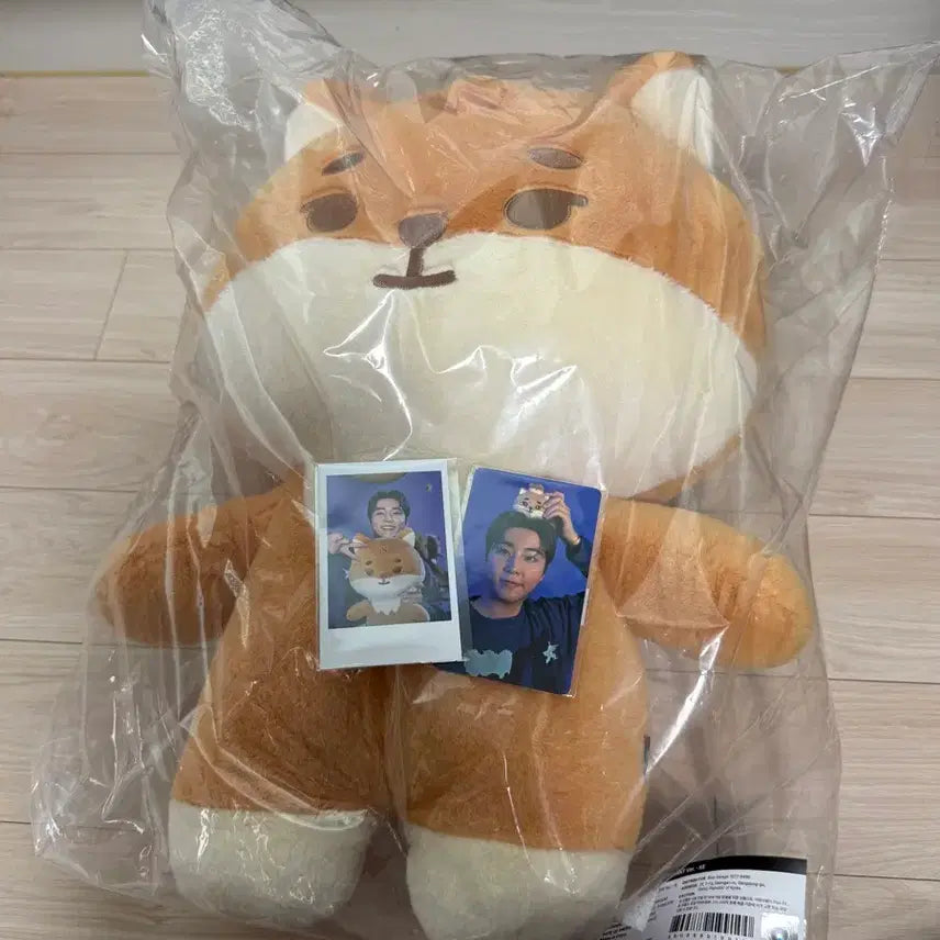 [BUNJANG] Giant Petit Mels Key Unsealed + Photocard / 자이어트 쁘띠멀즈 케 미개봉+포카