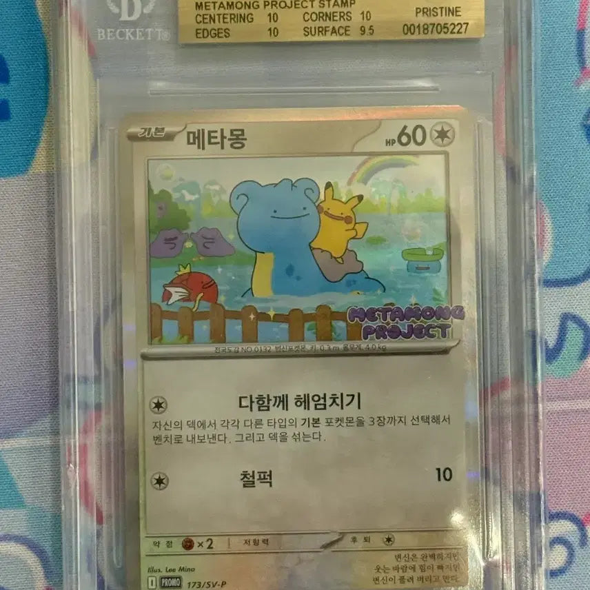 [SOLD OUT] 메타몽 프로모(173/SV-p) BGS10 골드라벨