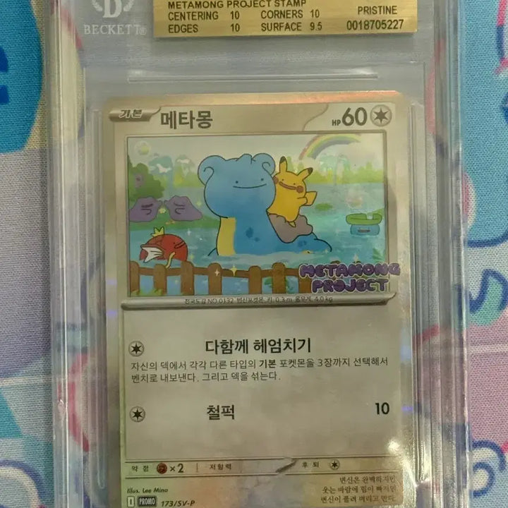 [SOLD OUT] 메타몽 프로모(173/SV-p) BGS10 골드라벨
