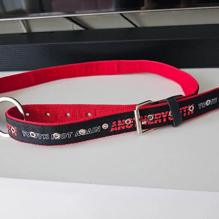 [BUNJANG] Another Youth Slim Ring Belt / 어나더유스 슬림 링 벨트