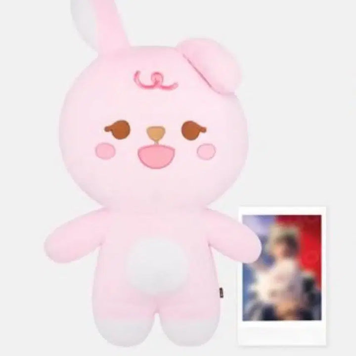 [SOLD OUT] 데이식스 자쁘멀 필끼 원가양도