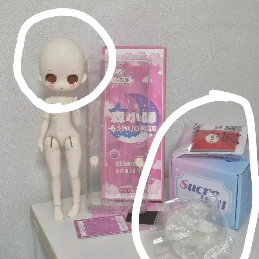 [BUNJANG] 풀박스 헤드 아니메 타입 구관 구체관절인형 / 풀박스 헤드 아니메 타입 구관 구체관절인형