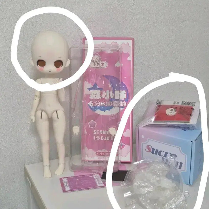 [BUNJANG] 풀박스 헤드 아니메 타입 구관 구체관절인형 / 풀박스 헤드 아니메 타입 구관 구체관절인형