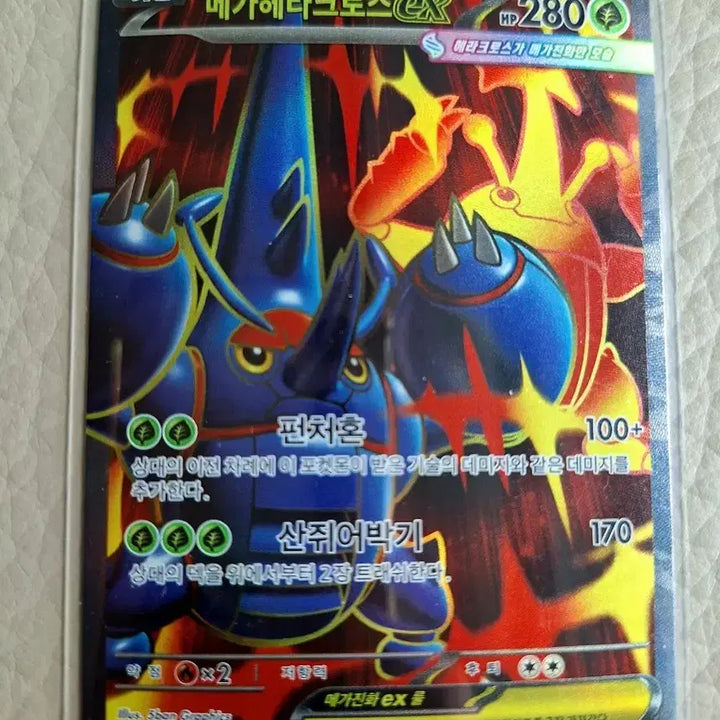 [BUNJANG] Pokemon Mega Heracross EX Card / 포켓몬 카드 메가헤라크로스EX