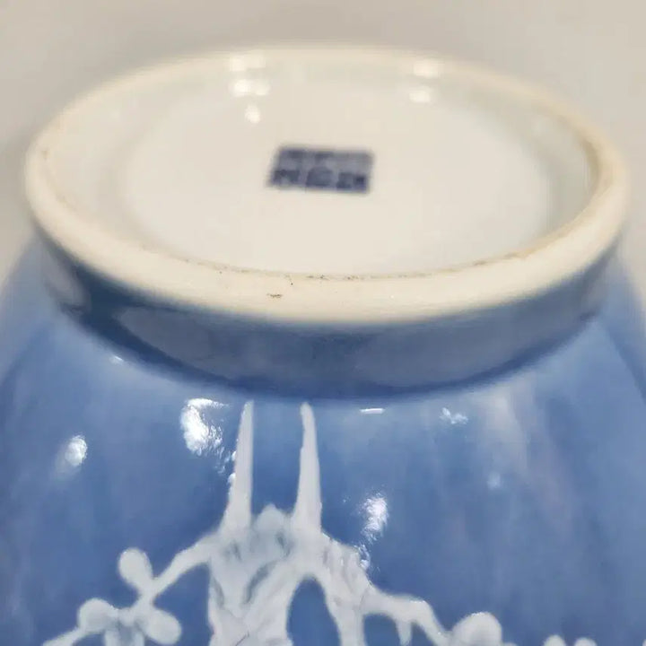 [BUNJANG] Chinese Qing Dynasty Celadon Porcelain Plum Blossom Vase / 중국도자기                   청건륭 청지분채 매화문 병