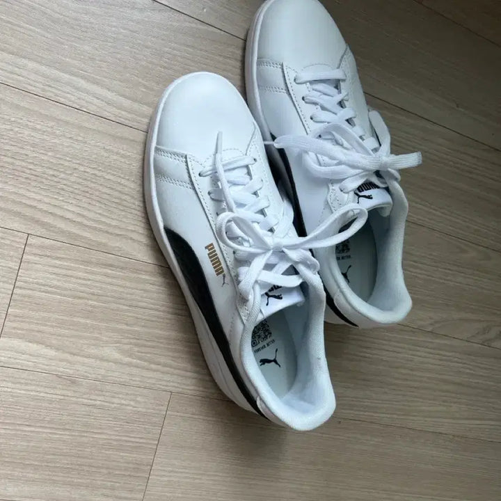 [BUNJANG] Puma Sneakers / 퓨마  운동화