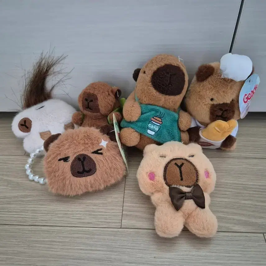 [BUNJANG] Capybara Plush Keychain Collection / 카피바라 인형 키링 모음, 전부 4000원