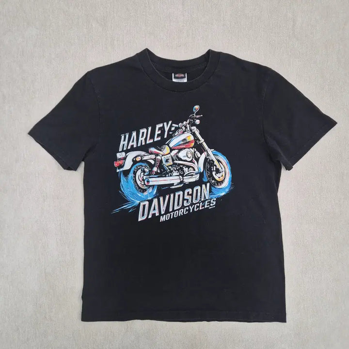 [BUNJANG] Harley Davidson L Size Vintage T-shirt / 할리데이비슨 L사이즈 반팔티셔츠
