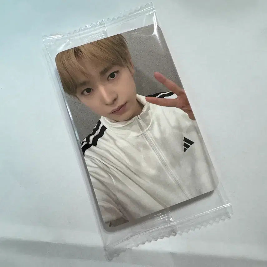 [SOLD OUT] 260204 엔시티 위시 컬러 케타포 케이타운포유 미공포 포카 포토카드